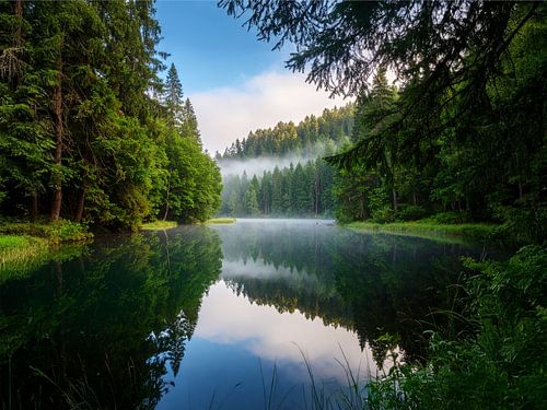 Stile Momente am Waldsee - stille momenten bij het bosmeer - stille momenten st het bosmeer