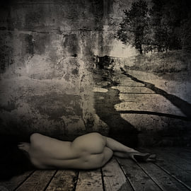 The path that disappeared by Dwaal de Tinten