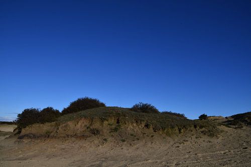 Zandduinen op het Balloërveld