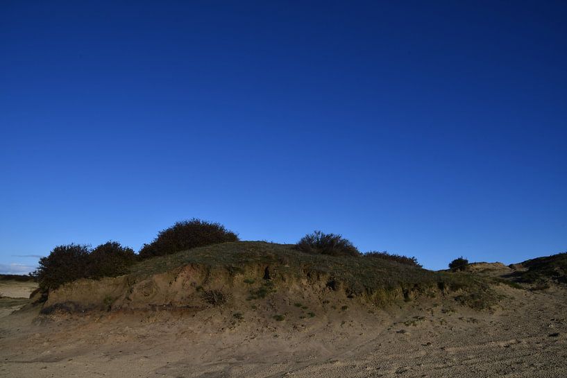 Sand dunes on the Balloërveld by Bernard van Zwol