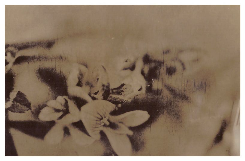 Agfa Brovira Satino _ 01 van Johannes Wobus