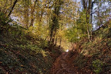 Hohlweg Berghöf von Rob Boon