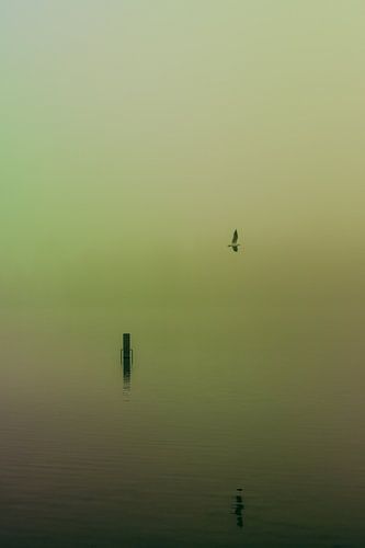 Dichte mist over de Rijkerswoerdse Plassen. 