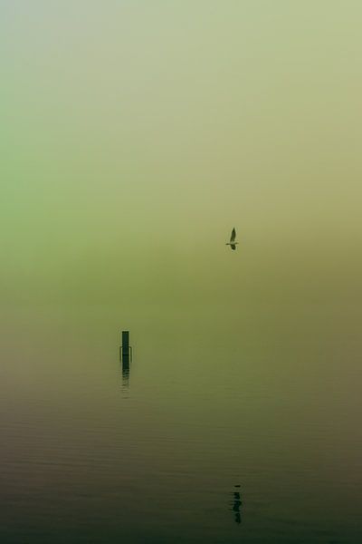 Dichte mist over de Rijkerswoerdse Plassen.  von Robert Wiggers
