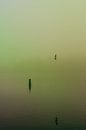 Dichte mist over de Rijkerswoerdse Plassen.  von Robert Wiggers Miniaturansicht