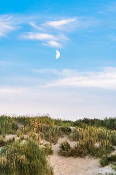 De maan boven de duinen van zeilstrafotografie.nl