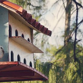 Maison des Oiseaux - Amour pour les Animaux sur Carolina Reina