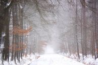 Schnee im Wald an einem nebligen Morgen von Francis Dost Miniaturansicht
