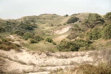 Those lovely dunes. 2 by Alie Ekkelenkamp