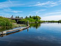 Fietser in de weerribben