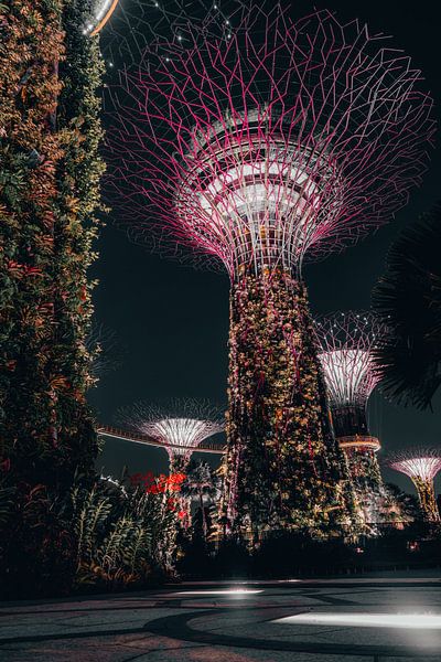 Singapore by Hello Pompoyo