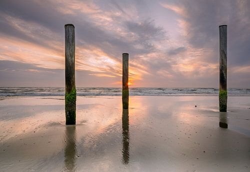 Palendorp Petten - 2
