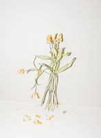 The Bouquet
