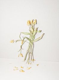 Der Blumenstrauß von Kiri Pruntel