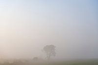 Akker in de Mist
