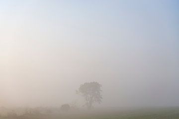 Akker in de Mist