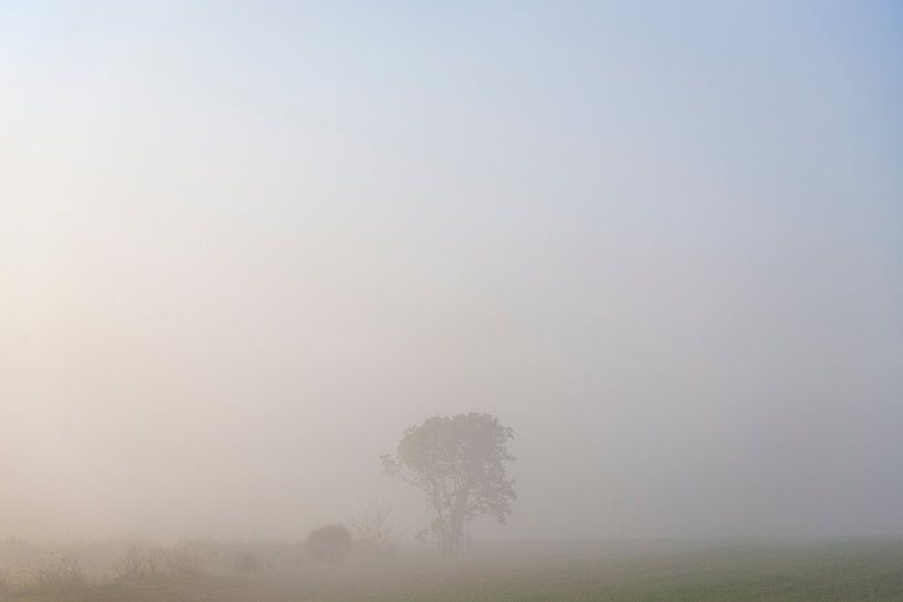 Akker in de Mist von Pieter en Anders Veltkamp