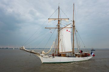 Etoile DelfSail 2024 van Jan Georg Meijer