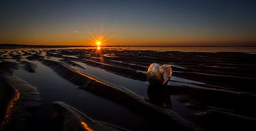 Coquille de coucher de soleil sur Linda Raaphorst