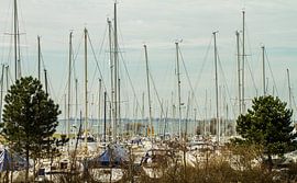 Jachthaven by Irene Lommers