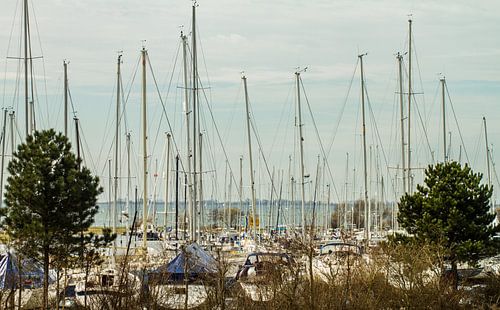 Jachthaven