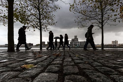 Rotterdam Kop van Zuid 