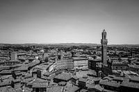 Siena - Italien (schwarzweiß)
