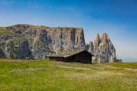 Almhütte auf der Seiser Alm