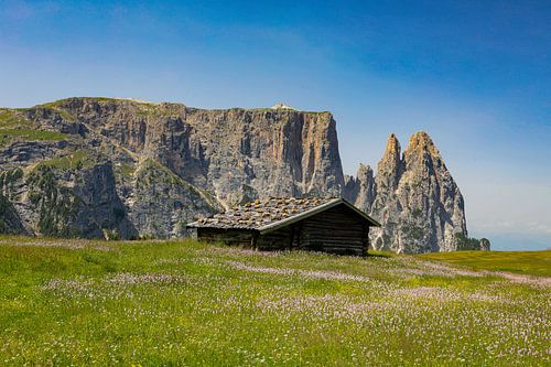 Alpenhut op de Alpe di Siusi