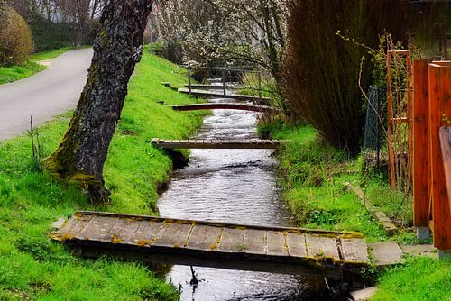 Lage binnenplaatsen in Wasser - Emmendingen