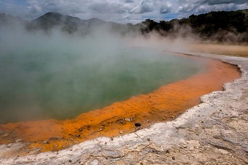 Rotorua - Noordereiland Nieuw-Zeeland Geothermisch landschap
