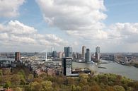 Rotterdam skyline with view of the Erasmus Bridge and the head of south by W J Kok thumbnail