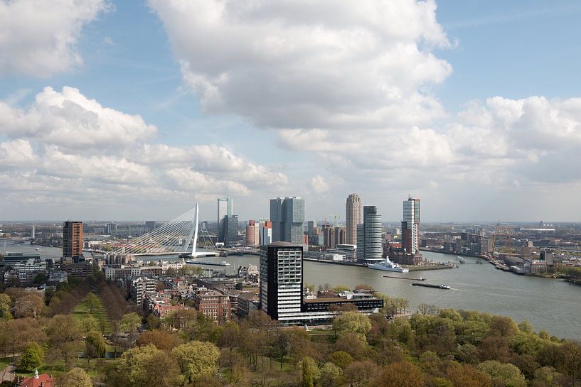 Rotterdam skyline with view of the Erasmus Bridge and the head of south by W J Kok
