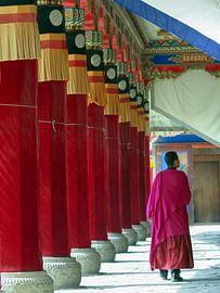 Monk in pillared gallery by Simone Zomerdijk