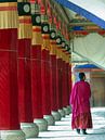 Monk in pillared gallery by Simone Zomerdijk thumbnail