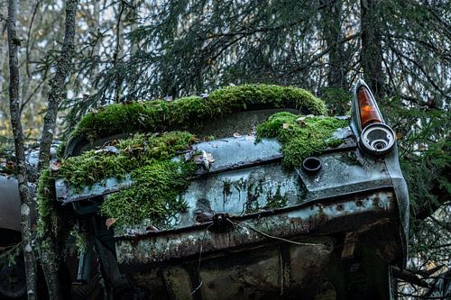 De schoonheid van het verval X