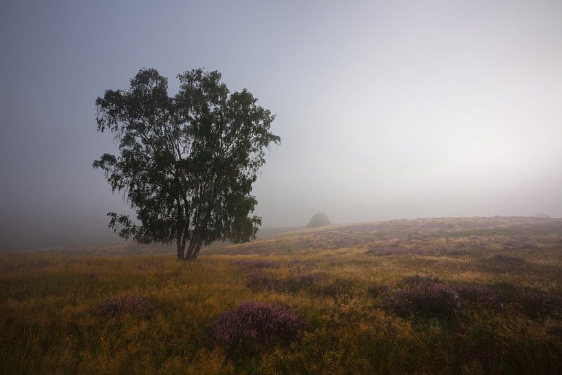 Abandon (Abandonné) par Jeroen Lagerwerf
