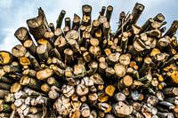 wood