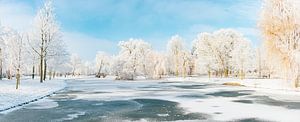 Snowy wintry landscape in the city park of Kampen