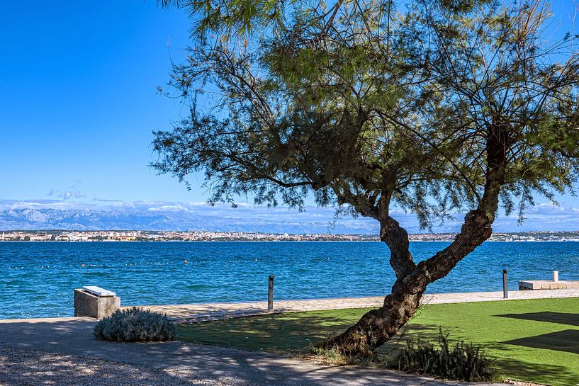 Kroatië : Eiland Ugljan - Preko van Photoart-Naegele