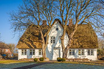 Maison au toit de chaume à Keitum, Sylt, Schleswig-Holstein, Allemagne sur Christian Müringer