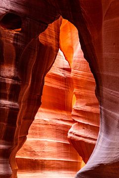 Antelope Canyon by Martijn Bravenboer