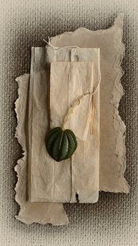 Green Leaf, Zero Waste series van Saskia Schotanus