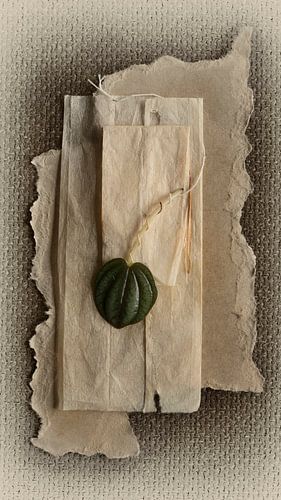 Green Leaf, Zero Waste series