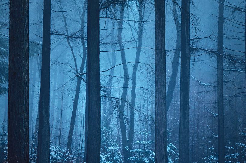 Winters blauw van LANETfotografie