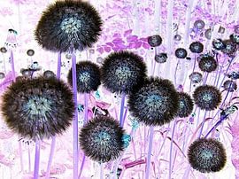 Negatieve pluizenbollen van Margreet Faber