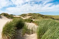 Profiter des dunes néerlandaises par Rob Donders Beeldende kunst Aperçu