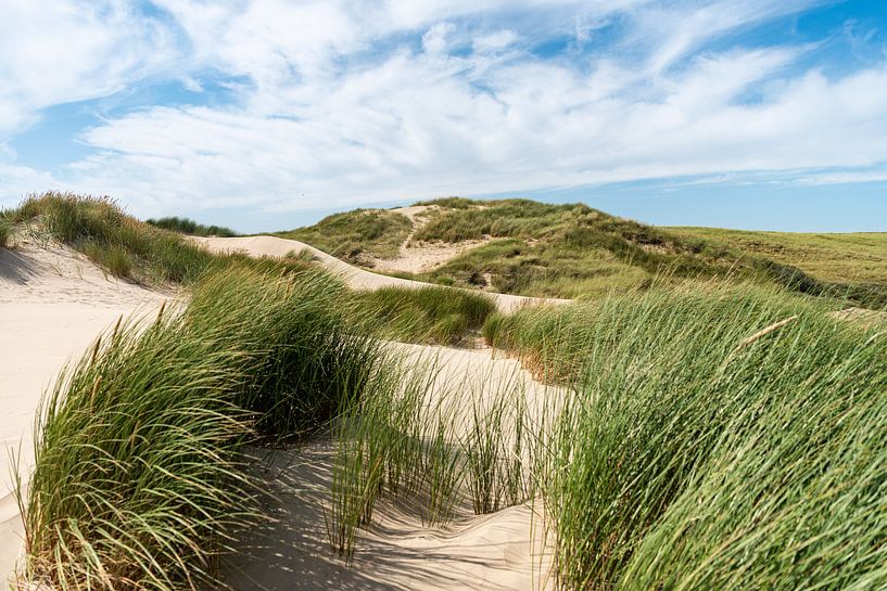 Profiter des dunes néerlandaises par Rob Donders Beeldende kunst