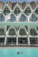 Museum der Wissenschaften Príncipe Felipe, Valencia