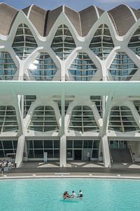 museum de les Ciències Príncipe Felipe, Valencia by Stefan Lok